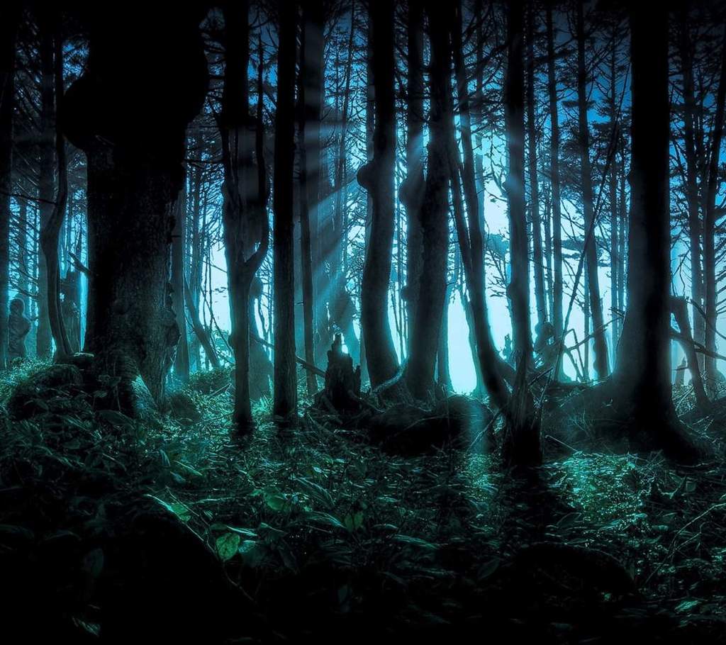amazing-forest-night-nightmare-favim-com-1075372